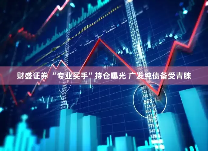 财盛证券 “专业买手”持仓曝光 广发纯债备受青睐
