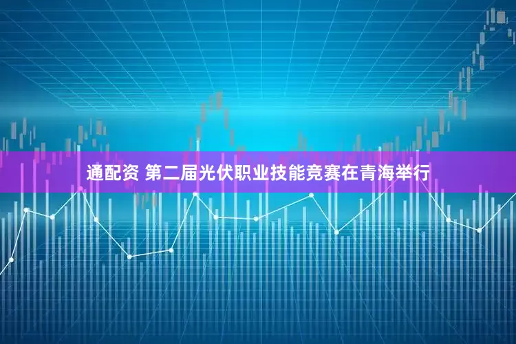 通配资 第二届光伏职业技能竞赛在青海举行