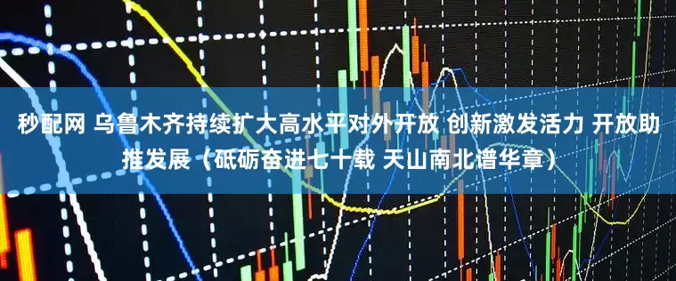 秒配网 乌鲁木齐持续扩大高水平对外开放 创新激发活力 开放助推发展（砥砺奋进七十载 天山南北谱华章）